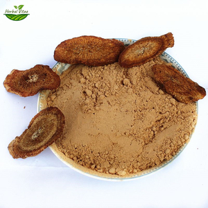Burdock Root Powder