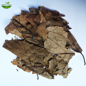 Herbal Eucommia Leaf