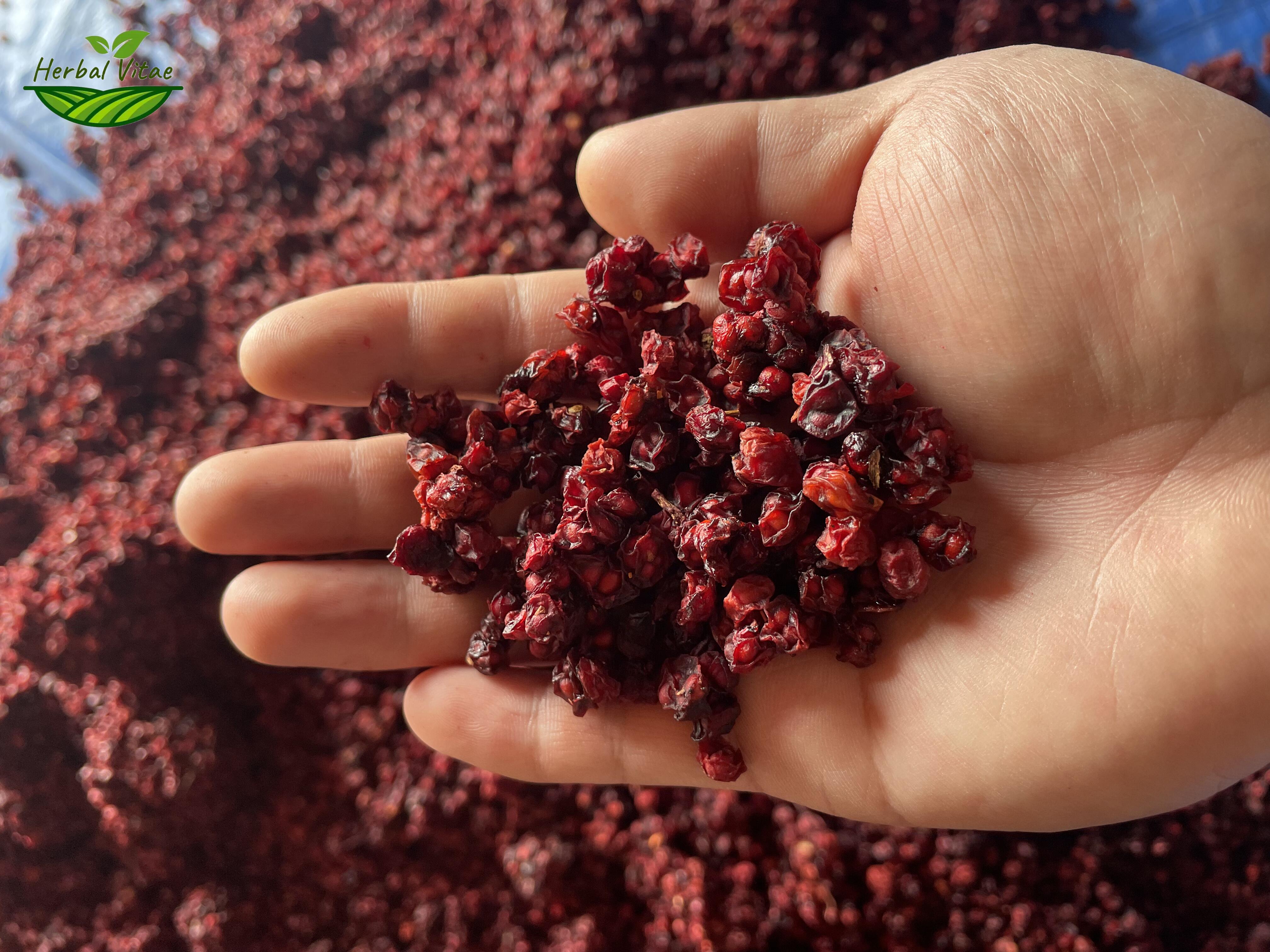 Schisandra