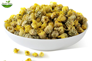 Chrysanthemus Flower---tea herb