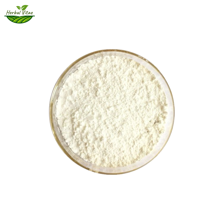 Andrographis Paniculata Extract Powder